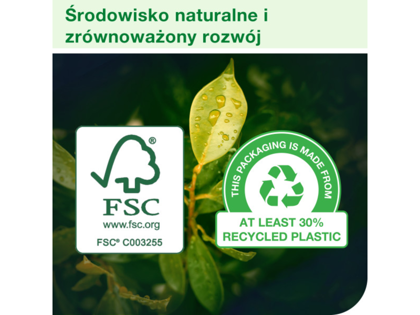 Dodatkowe zdjęcie